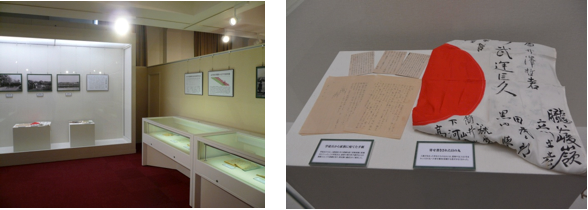 展示物